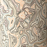 ACMAP:77211d80fcb36733c364