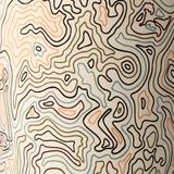 ACMAP:a959e08ec363154f49d9